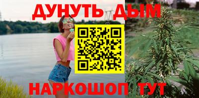 гидра Гусев