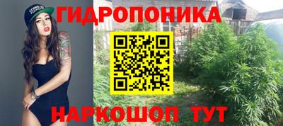 apvp Гусиноозёрск