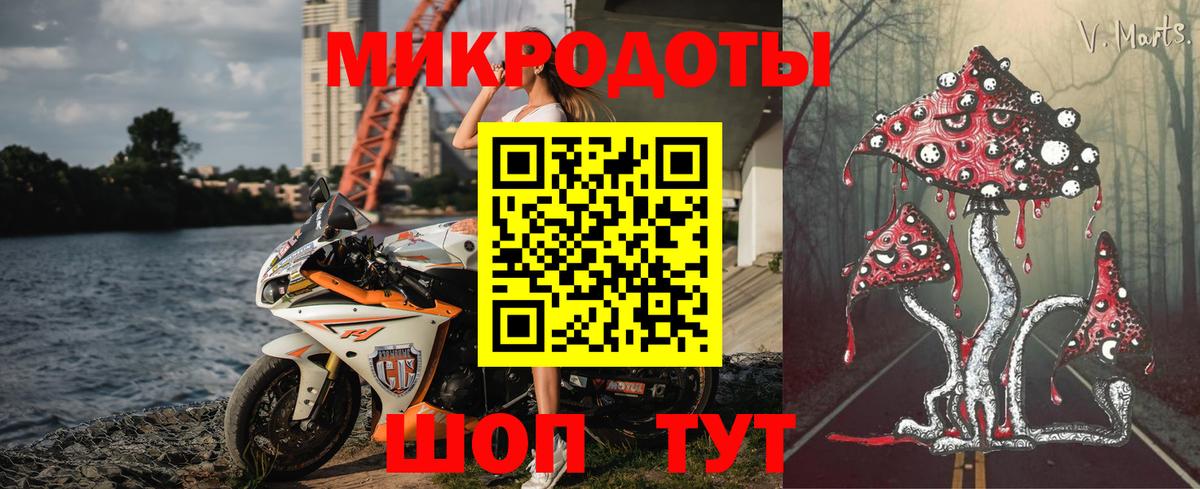 Галлюциногенные грибы Psilocybine cubensis Георгиевск