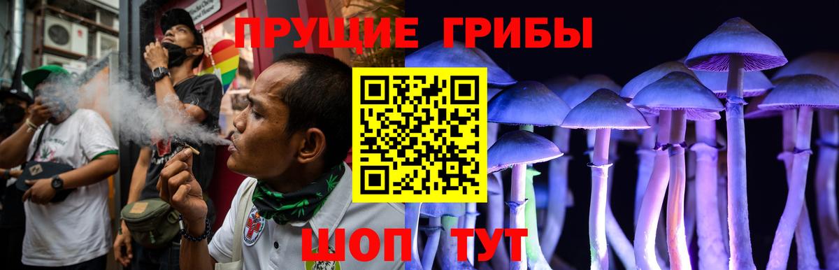 Псилоцибиновые грибы Psilocybine cubensis  Вход с VPN  Георгиевск 